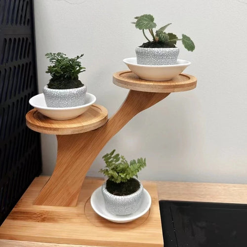 Bamboo Desk Stand