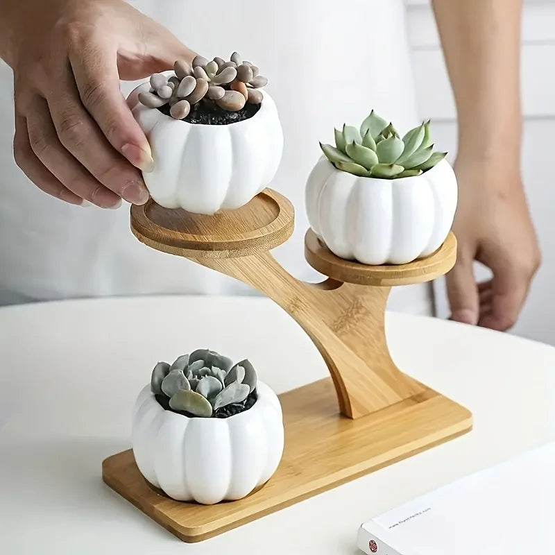 Bamboo Desk Stand